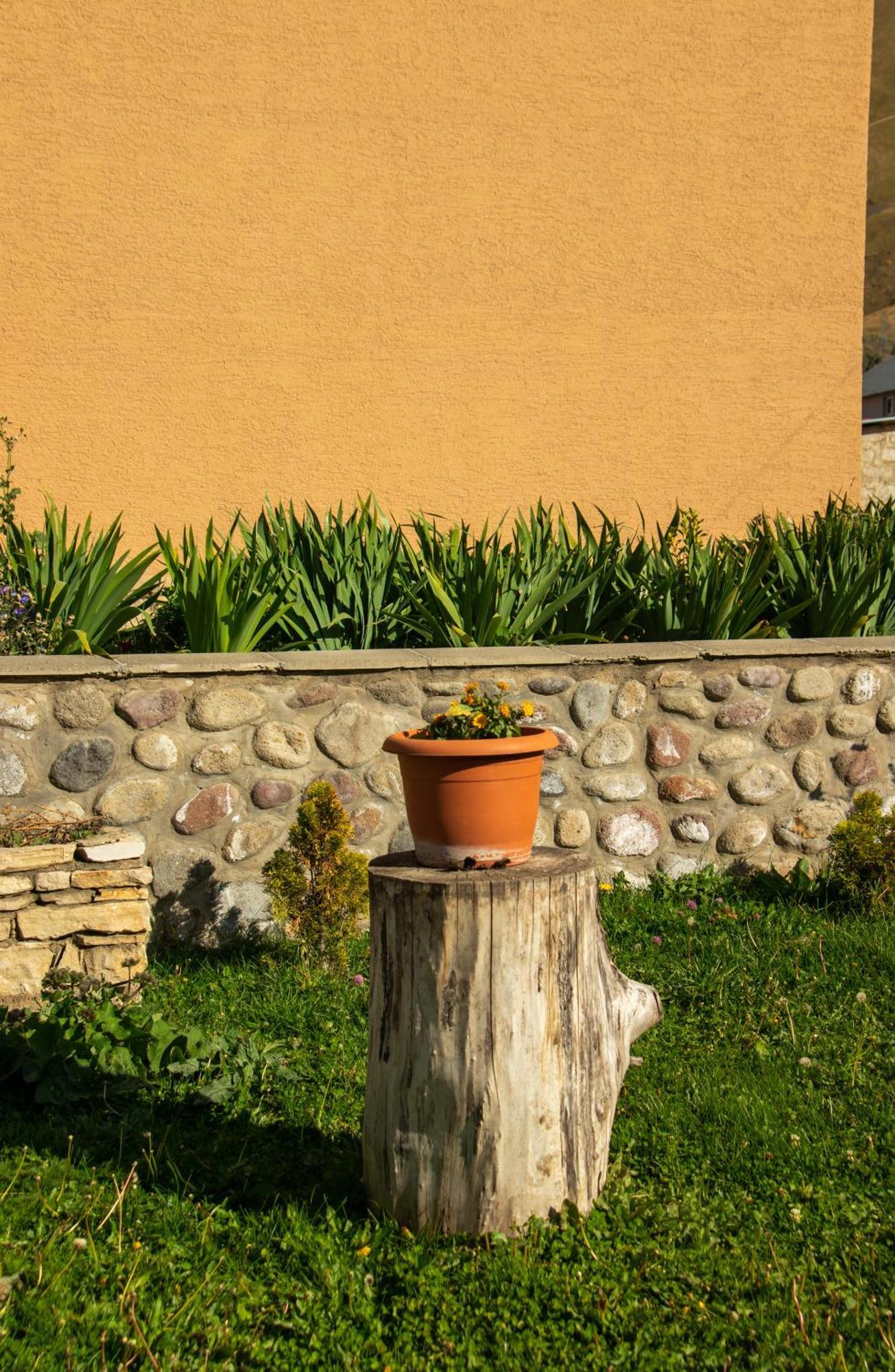 Guest House Oxygen Kazbegi Bagian luar foto